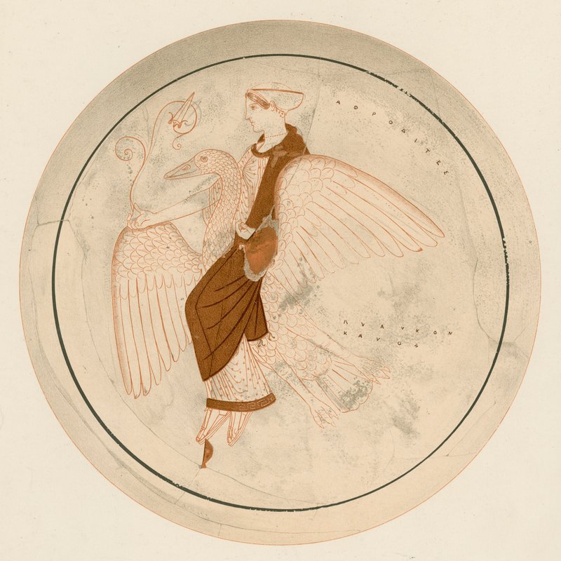 Aphrodite auf dem Schwan von English School