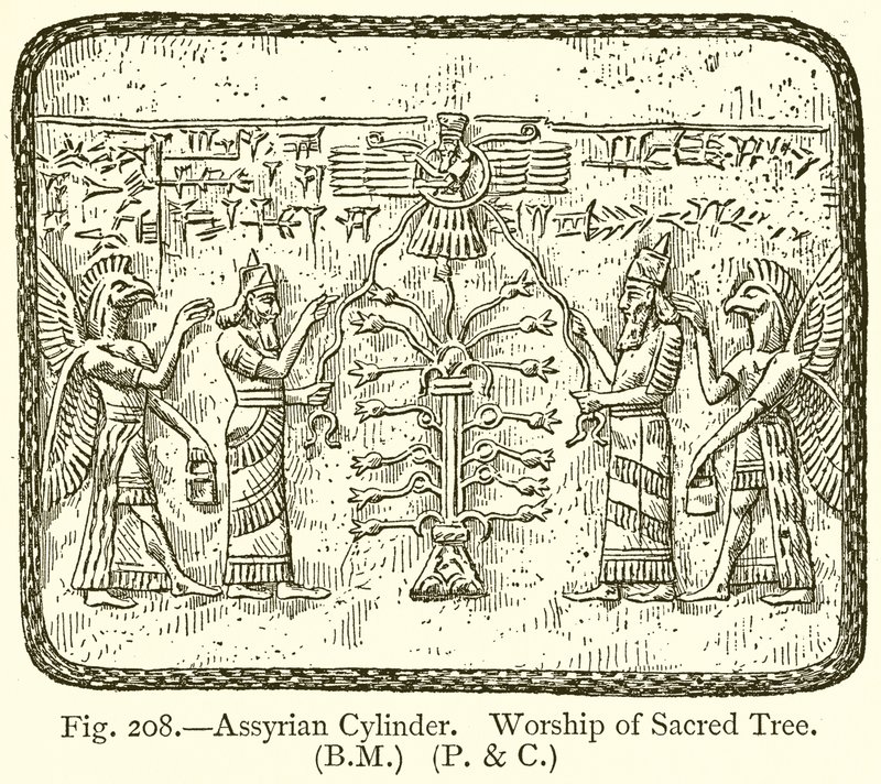Assyrischer Zylinder. Verehrung des heiligen Baumes von English School