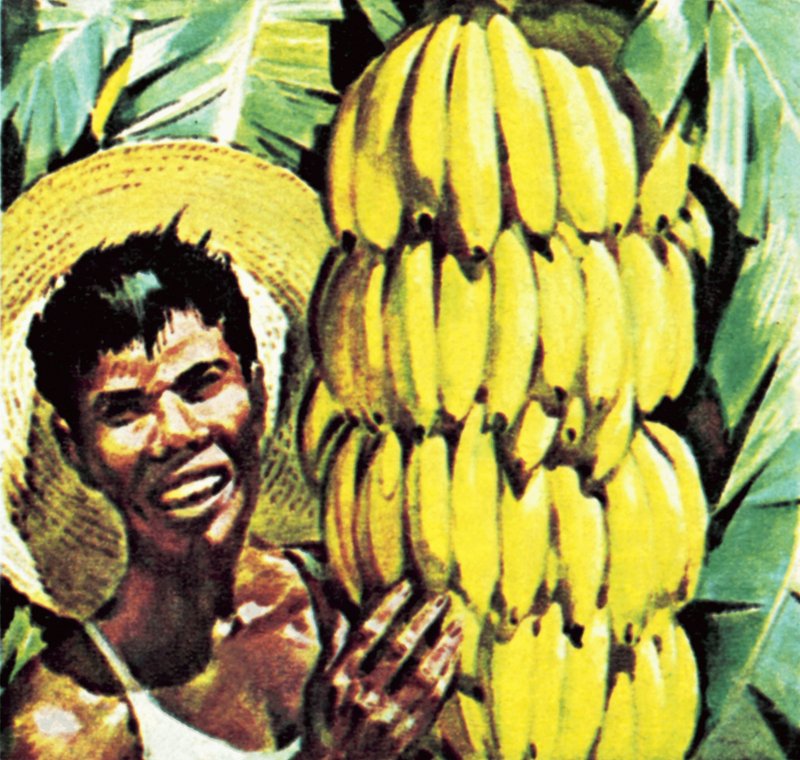 Bananen von English School