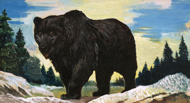 Schwarzbär von English School
