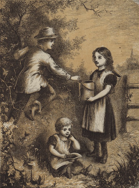 Brombeeren pflücken (farbige Gravur) von English School
