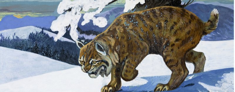 Luchs von English School