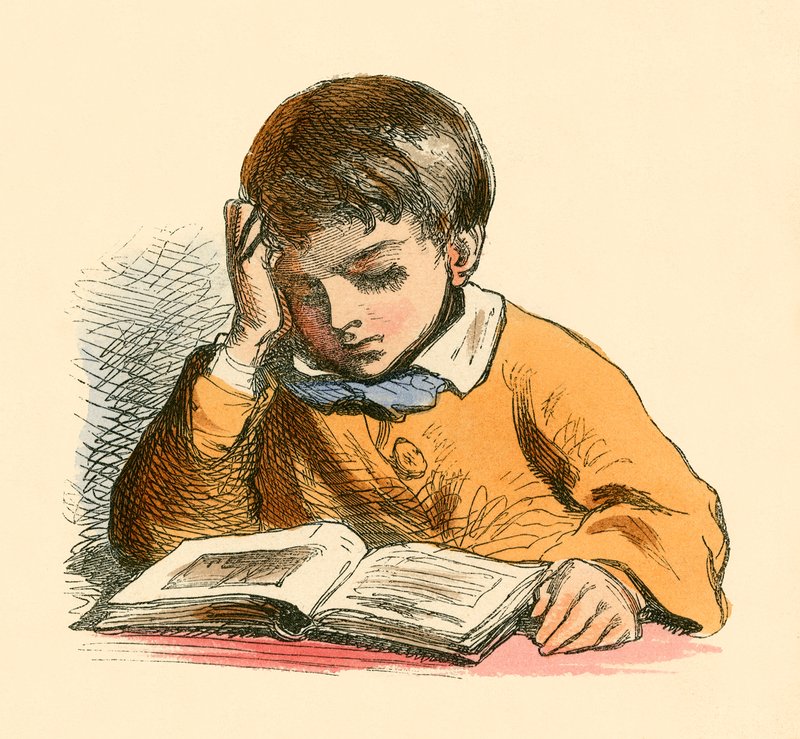Junge beim Lesen von English School