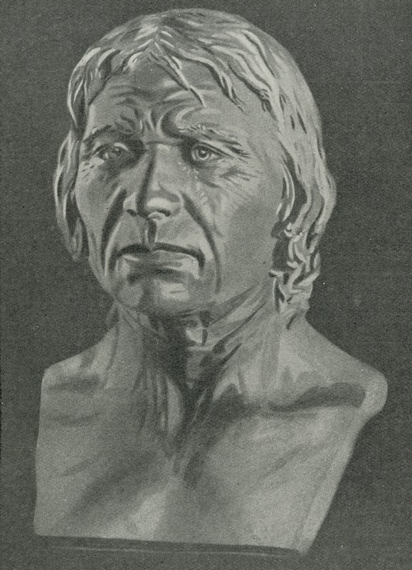 Büste eines Cro-Magnon-Menschen von English School