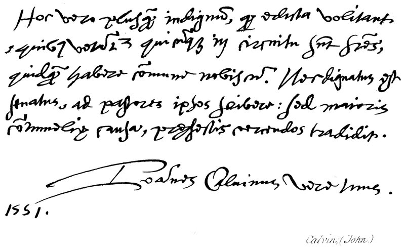 Johannes Calvin von English School