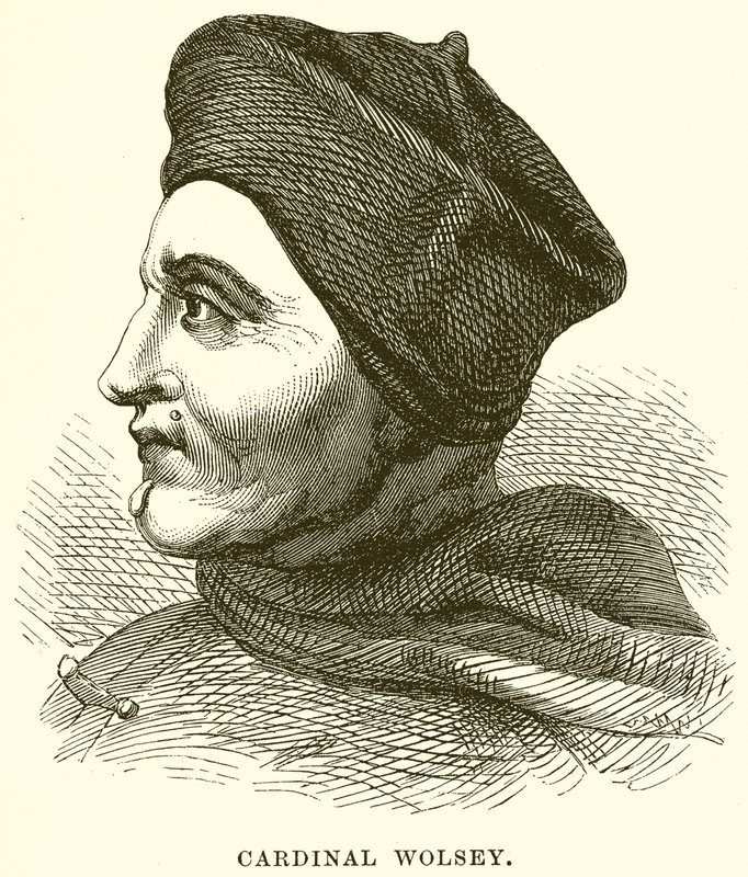 Kardinal Wolsey von English School