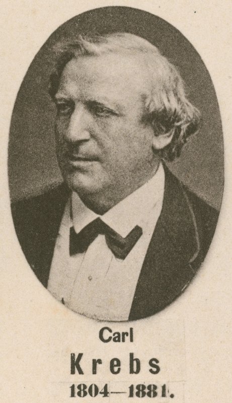 Carl Krebs von English School