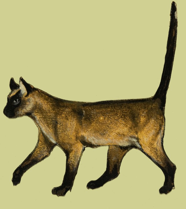 Katze von English School
