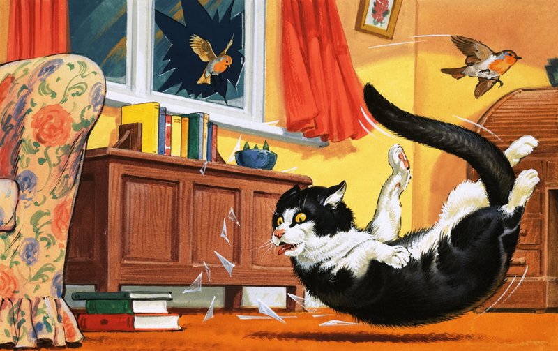 Katze fällt durch Glasfenster von English School