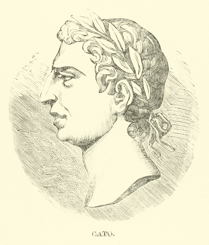 Cato von English School