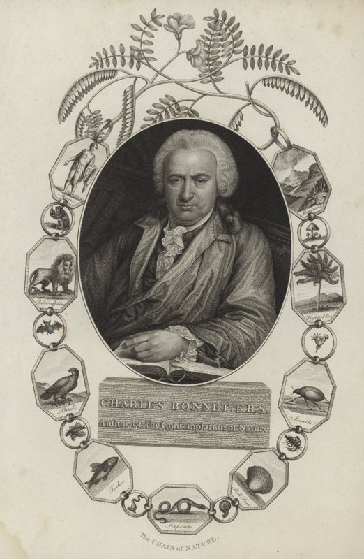 Charles Bonnet von English School