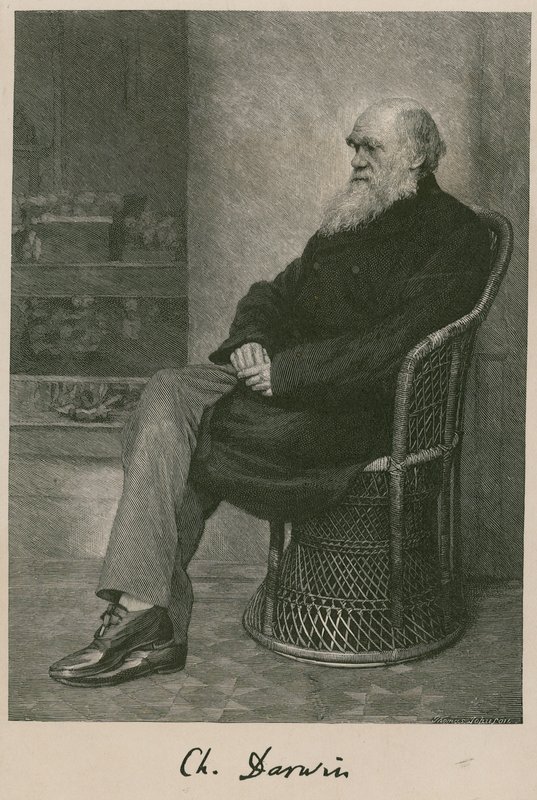 Charles Darwin von English School