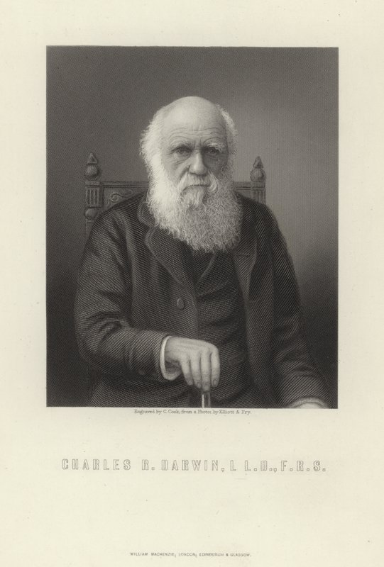 Charles R. Darwin von English School