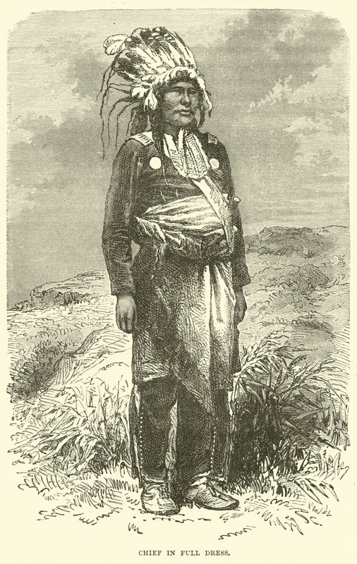 Häuptling in voller Tracht von English School