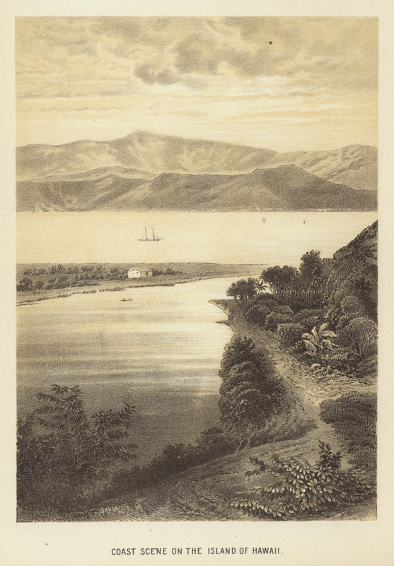 Küstenlandschaft auf der Insel Hawaii von English School