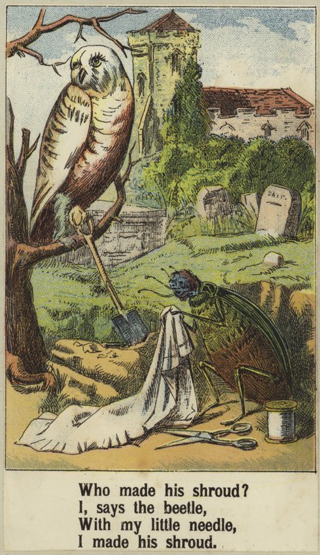 Rotkehlchen von English School