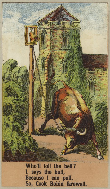 Rotkehlchen von English School