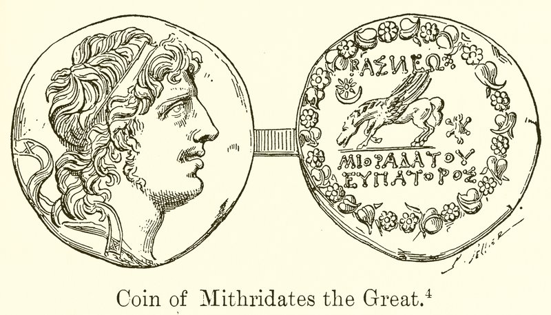 Münze von Mithridates dem Großen von English School