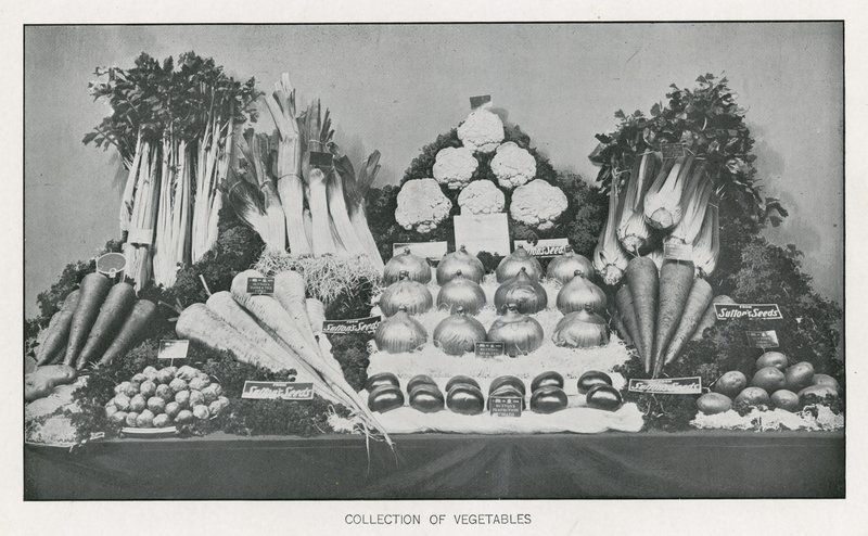 Sammlung von Gemüse von English School