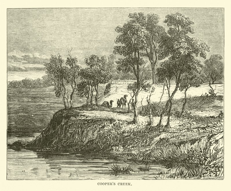 Coopers Creek von English School