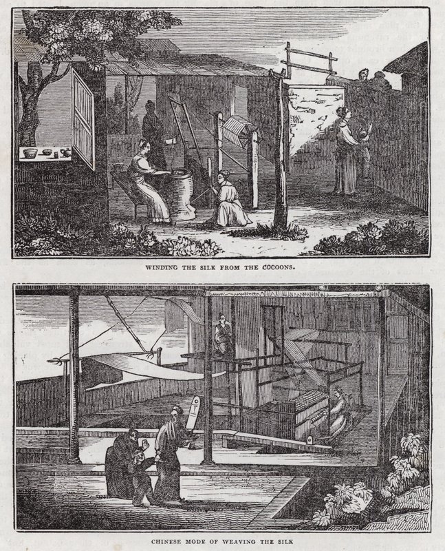 Seidenanbau (Gravur) von English School