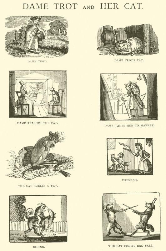 Dame Trot und ihre Katze von English School