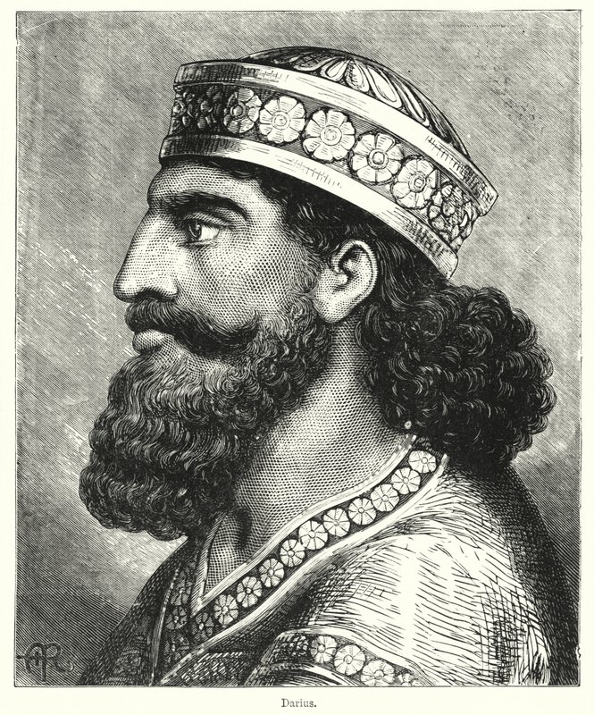Darius von English School