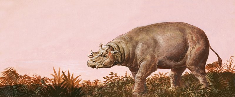 Dinosaurier von English School