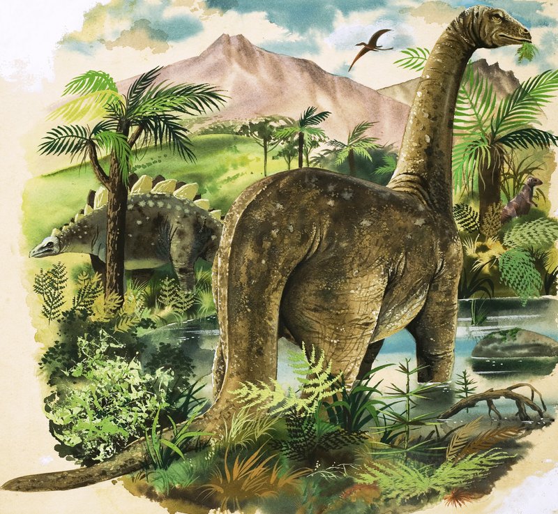Dinosaurier von English School