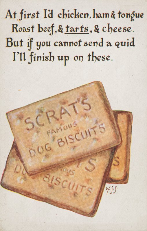 Hundekekse von English School
