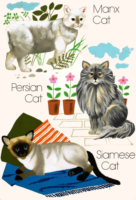 Hauskatzen von English School
