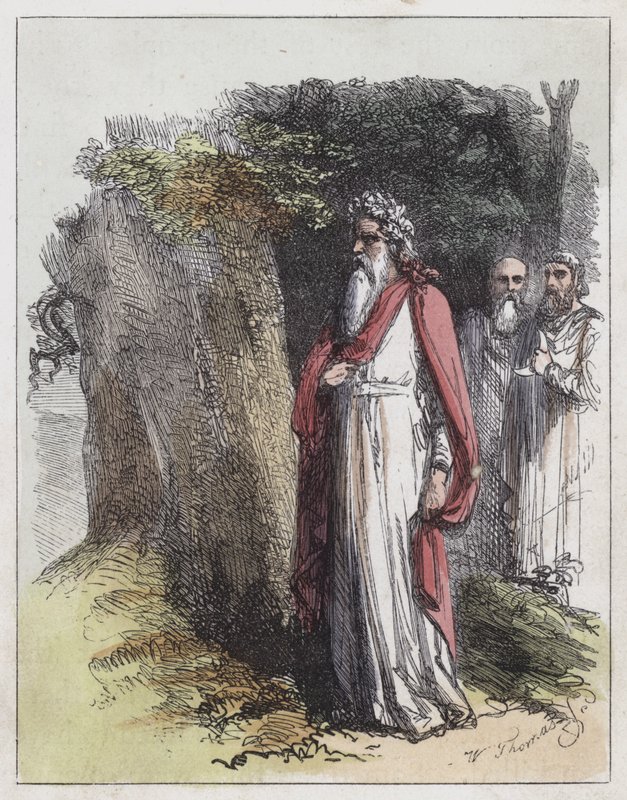 Druiden von English School