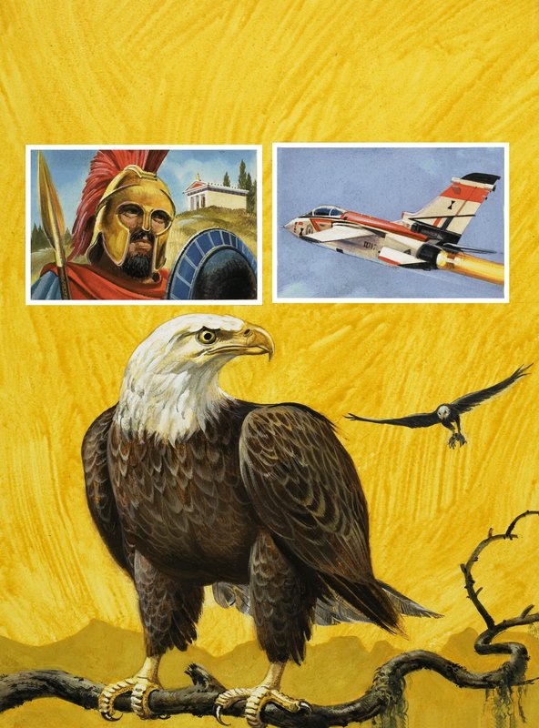 Adler von English School