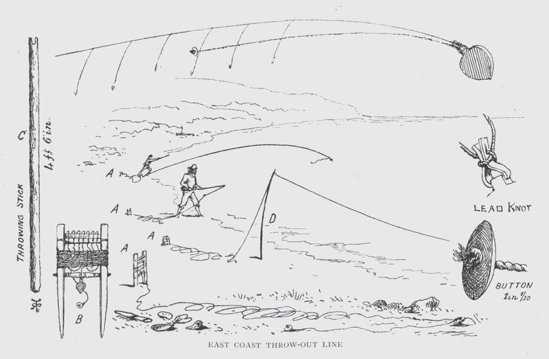 Ostküste Wurfleine (Lithographie) von English School
