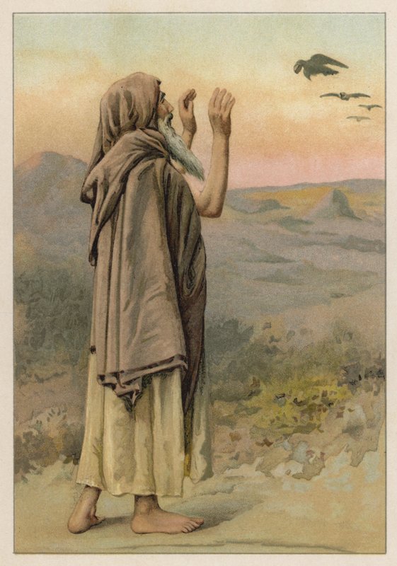 Elia und die Raben von English School