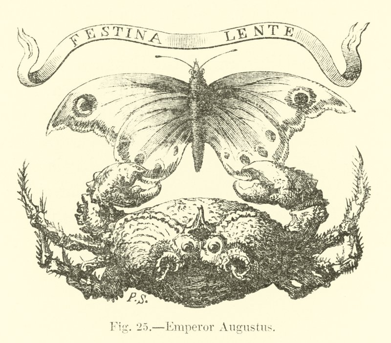 Kaiser Augustus von English School