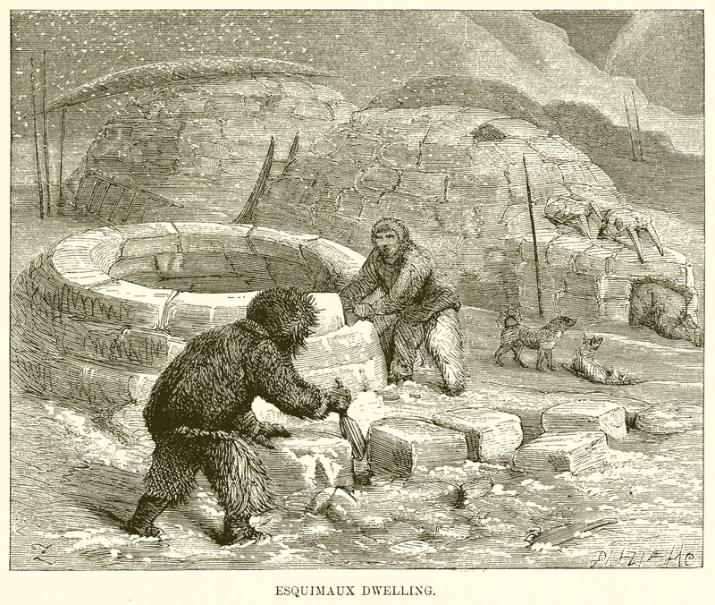 Eskimo-Wohnung von English School
