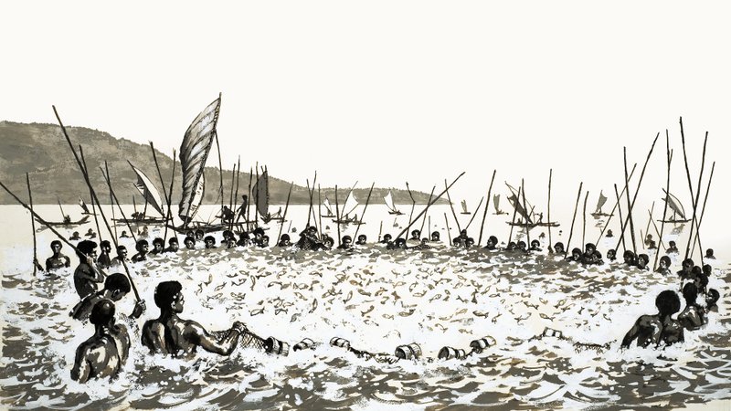 Fischfang auf Fidschi von English School