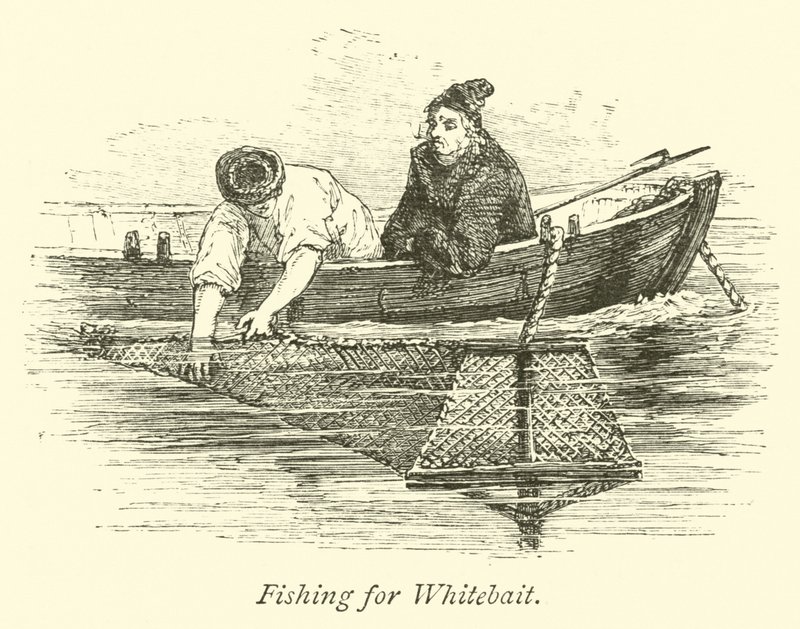 Fischen nach Weißfisch von English School