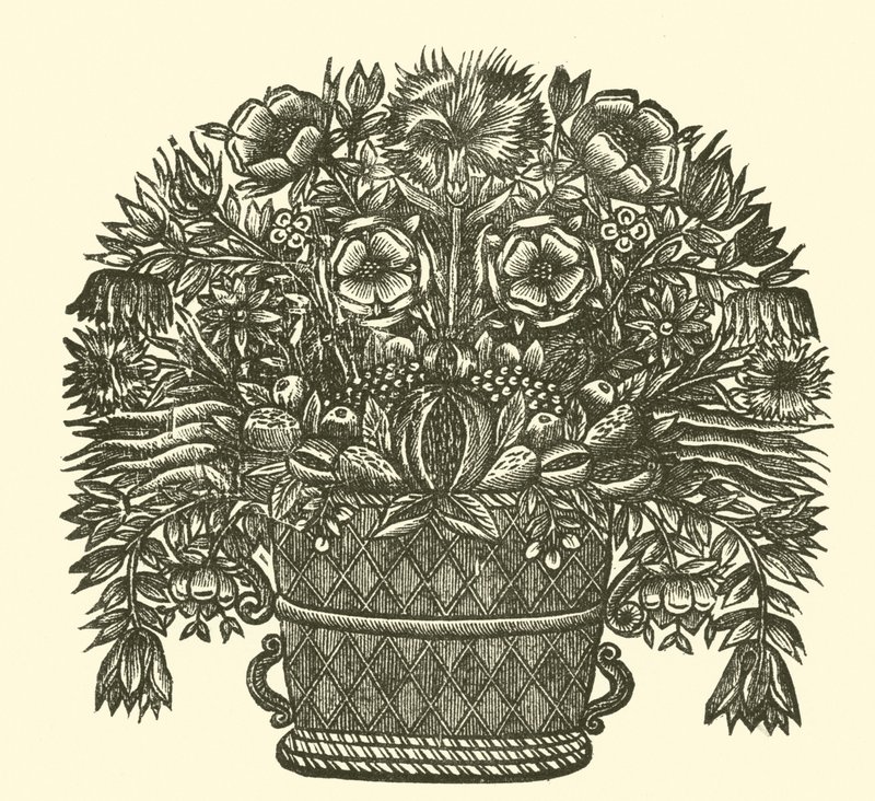 Blumen von English School