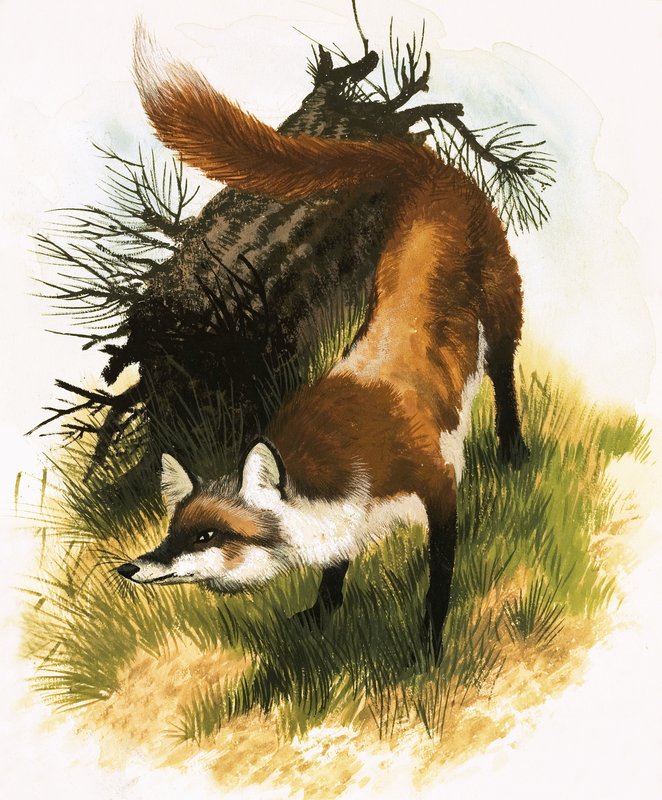 Fuchs von English School