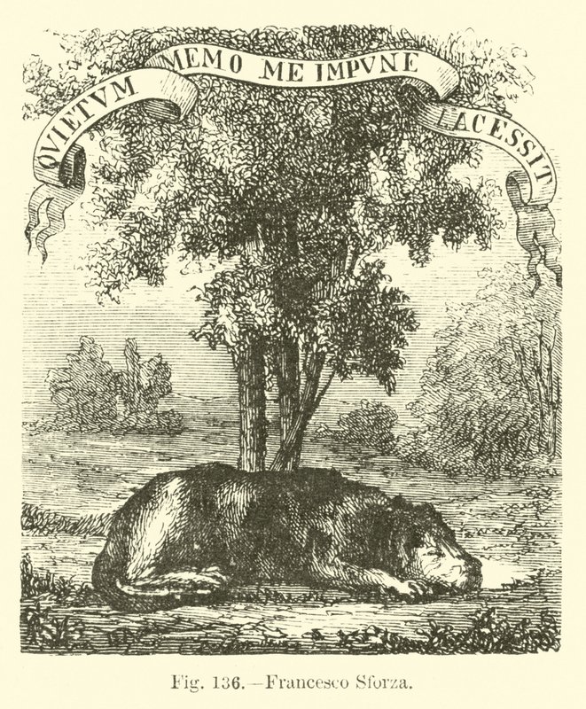 Francesco Sforza von English School