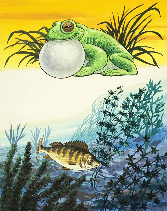 Frosch und Fisch von English School