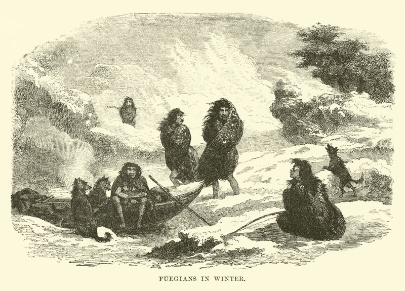 Feuerländer im Winter von English School
