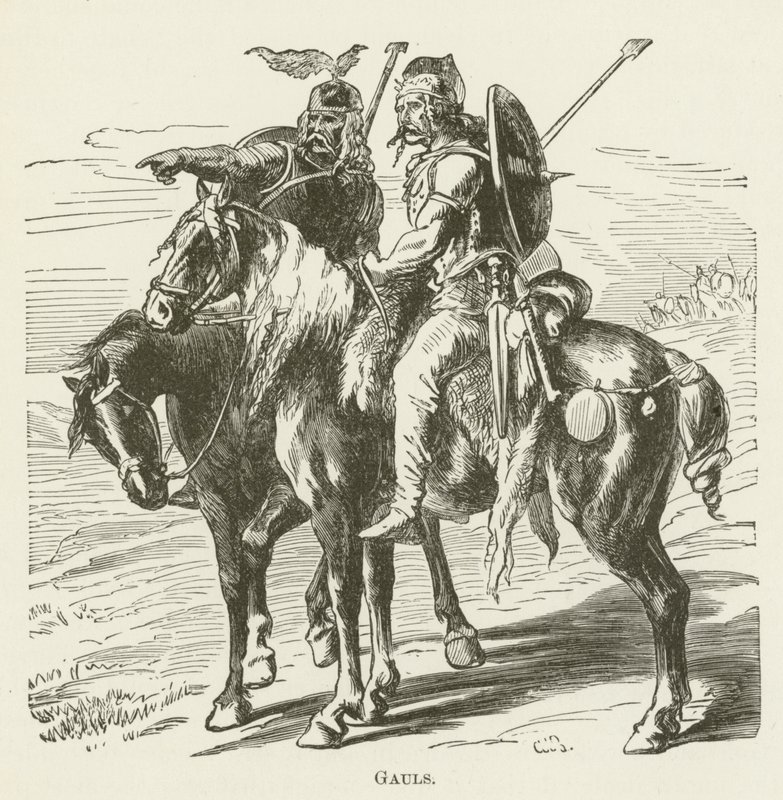 Gallier von English School