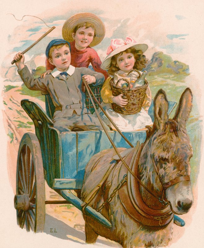 Hüa Neddy von English School