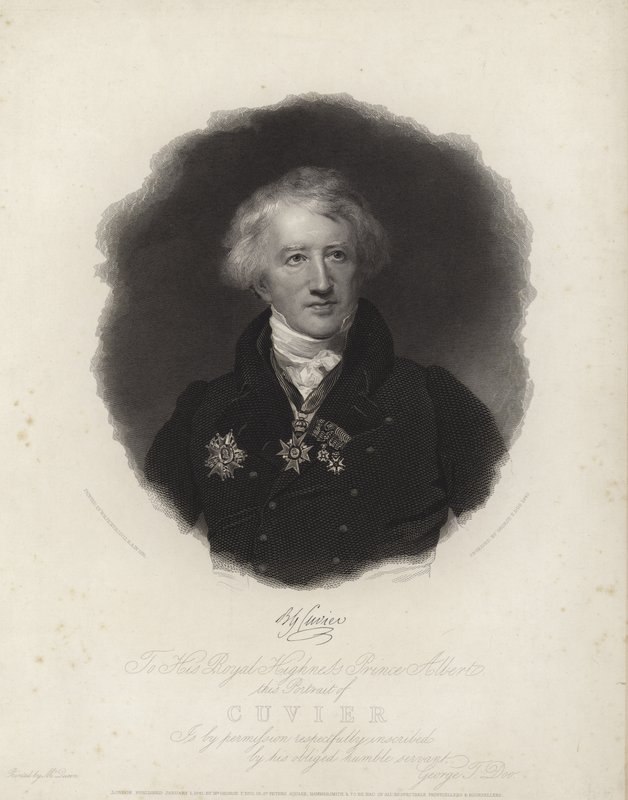 Georges Cuvier von English School