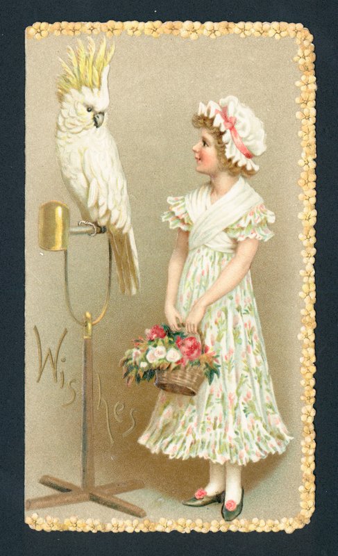 Mädchen und Sittich von English School