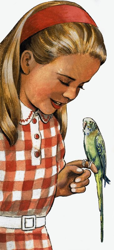 Mädchen mit Wellensittich von English School