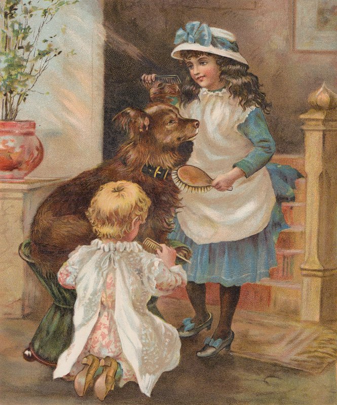 Mädchen pflegen ihren Hund von English School